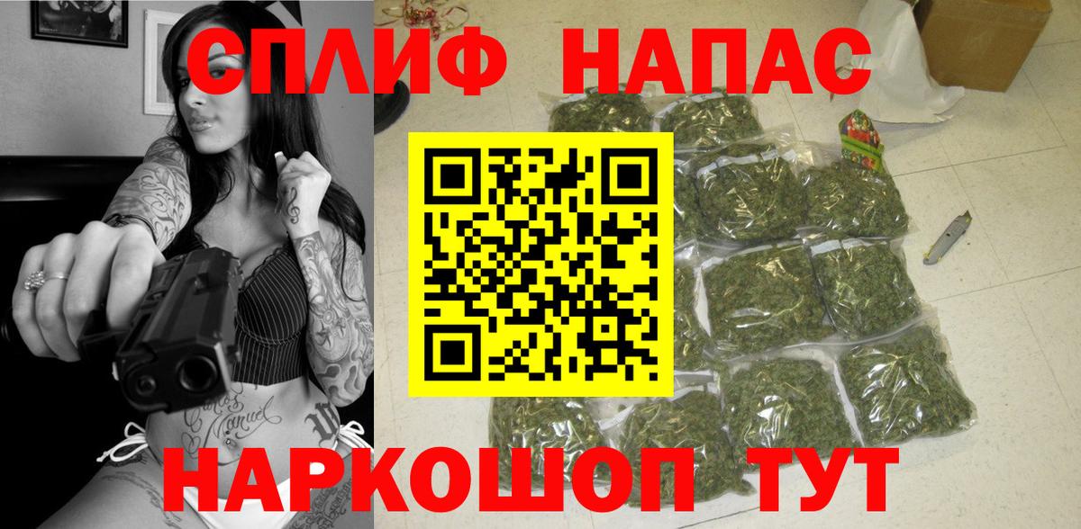 Конопля гибрид Елец